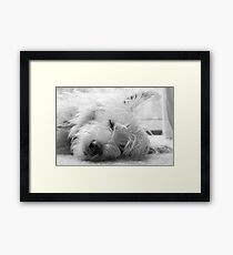 Awww... Framed Print