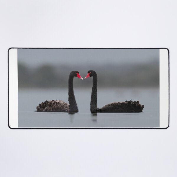 Item preview, Swans in the mist designed and sold by Seesee.