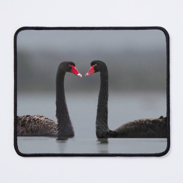 Item preview, Swans in the mist designed and sold by Seesee.
