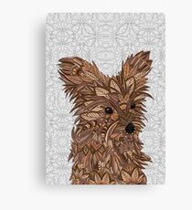 Cute Yorkie Canvas Print