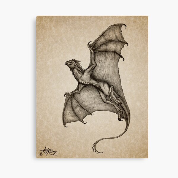 "Hurricane Wyvern" by artist Amber Marine ~ (Copyright 2016) ~ Ink & Graphite Dragon Art Canvas Print