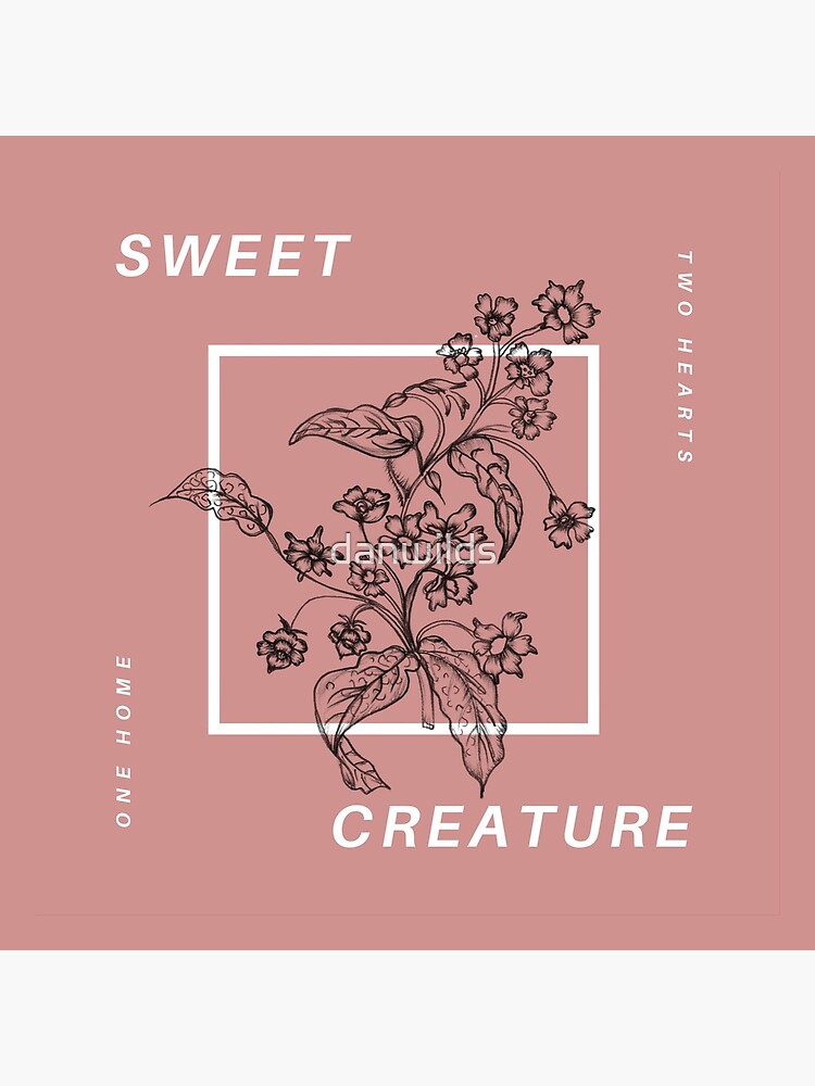 sweet creature merch