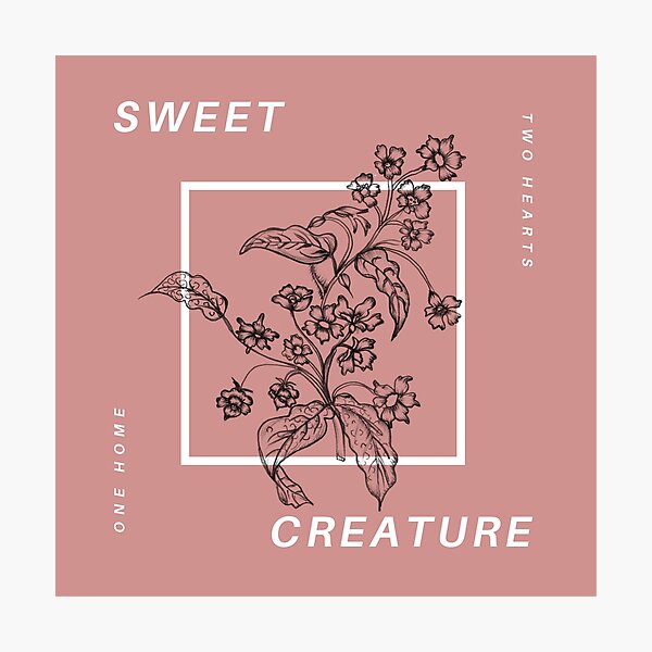 sweet creature Photographic Print
