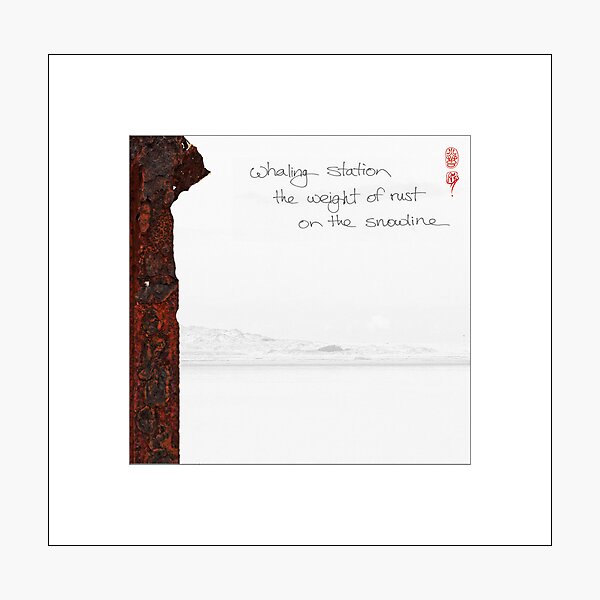 Whaling Station Photographic Print