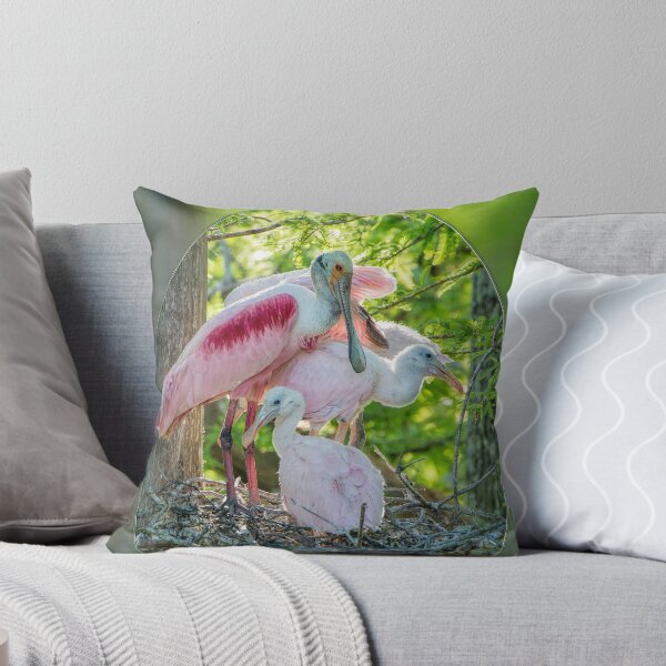 Item preview, Roseate Spoonbill and Chicks at Evangeline Parish Louisiana Rookery designed and sold by Bonnie T.  Barry.