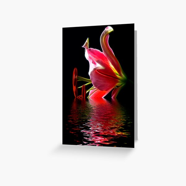 Star Gazer Lily Greeting Card