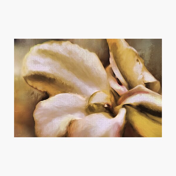 Lily In The Garden Neutral Photographic Print