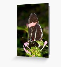 Poised and Pretty Greeting Card