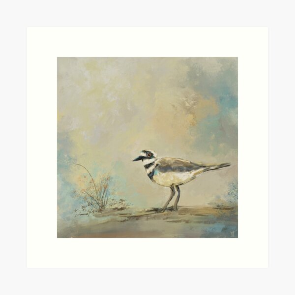Shore Bird 2945 Art Print