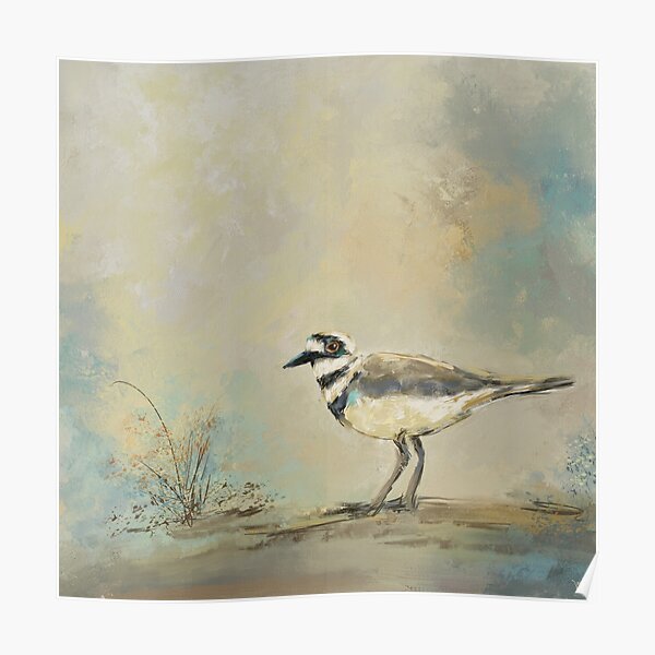 Shore Bird 2945 Poster