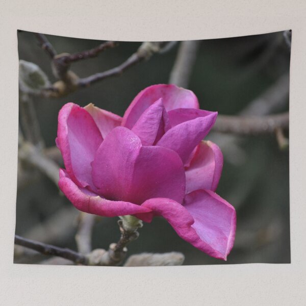 Item preview, Magnificent Magnolia designed and sold by lizdomett.