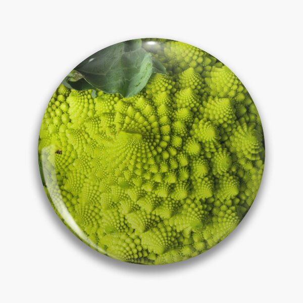 Item preview, romanesco cabbage designed and sold by LaBoiteaImages.
