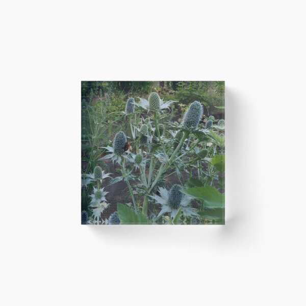Item preview, Autumn in a flower garden is a magical with the thistle and the bee designed and sold by Raigitam.