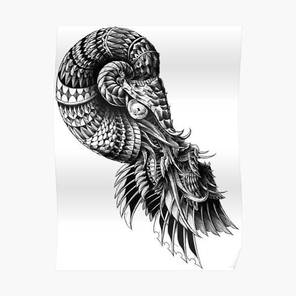 Nautilus Posters Redbubble