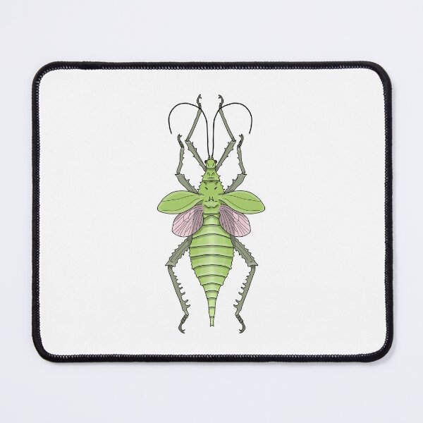 Item preview, Female pink green stick insect (heteropteryx dilatata) designed and sold by Artbychb.