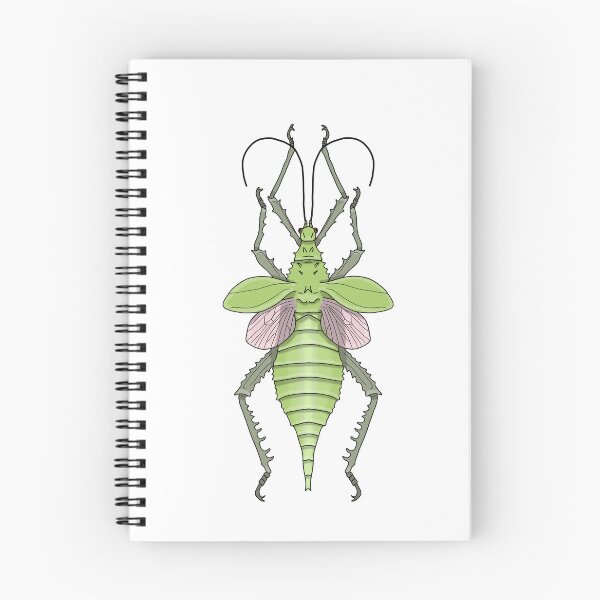 Item preview, Female pink green stick insect (heteropteryx dilatata) designed and sold by Artbychb.