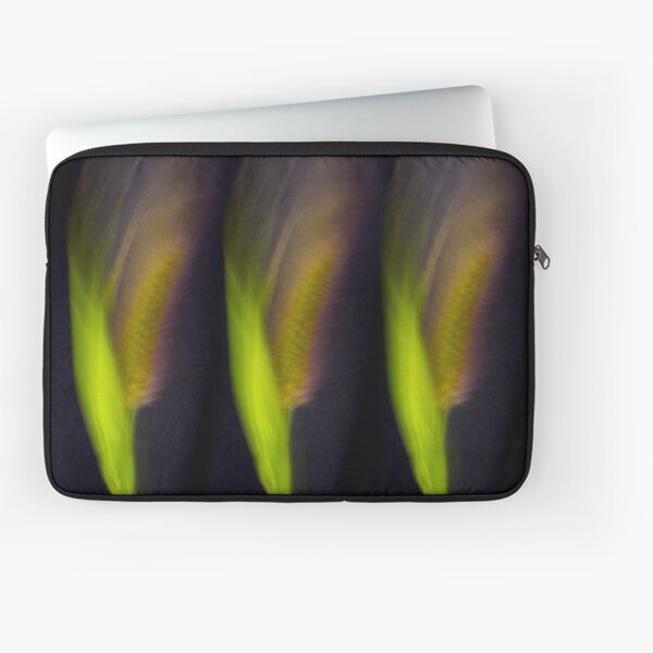 Fleur Blur-Abstract Bristle Grass Laptop Sleeve