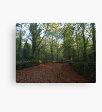 Autumn in Coole Park Canvas Print
