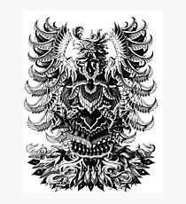 Heraldic Phoenix Photographic Print