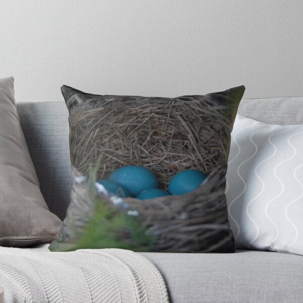 Item preview, Robin's Eggs designed and sold by Vonnie Murfin.
