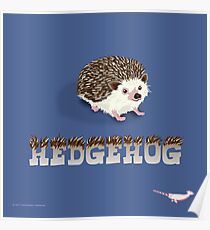 Cute Hedgehog Poster