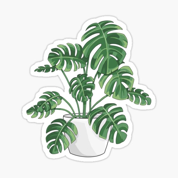 Item preview, Monstera plant  designed and sold by RosaKennedy.