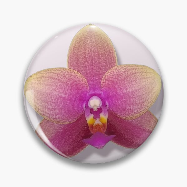 Item preview, Phalaenopsis Orchid designed and sold by Floral-Art.