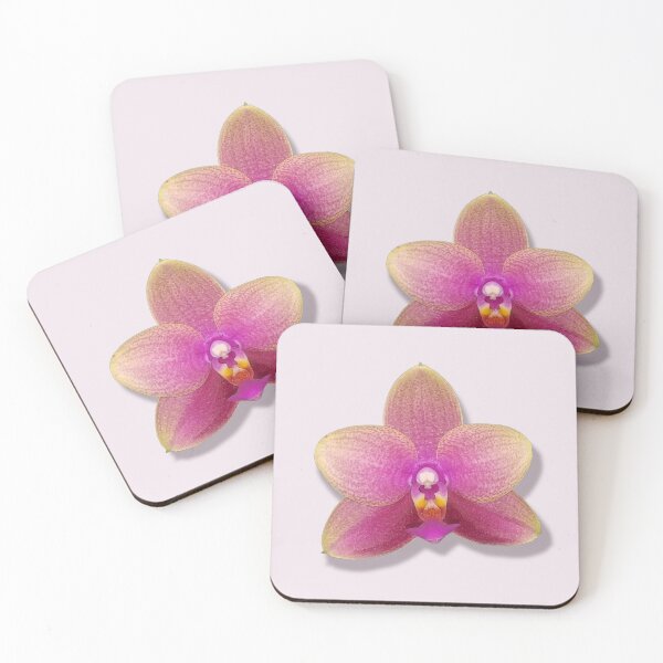 Item preview, Phalaenopsis Orchid designed and sold by Floral-Art.