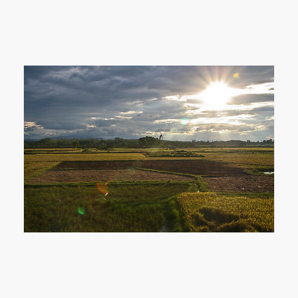 Green Fields Photographic Print