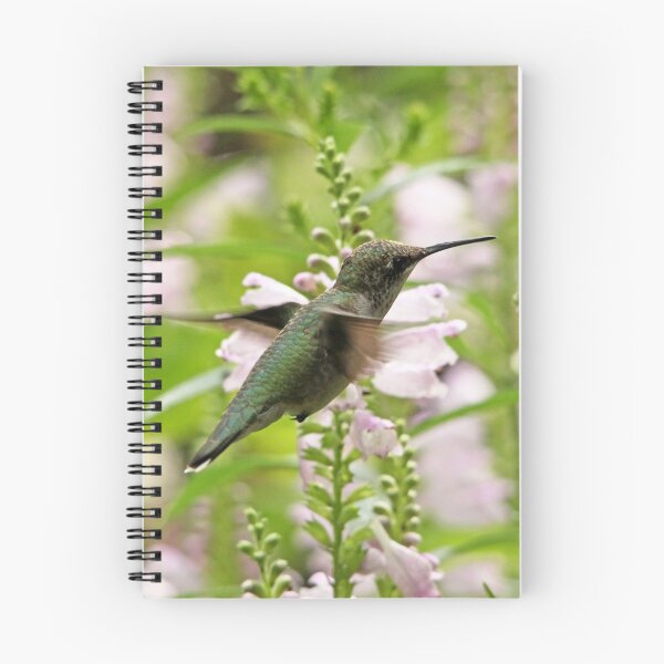 Item preview, In The Obedient Garden designed and sold by Debbie Oppermann.