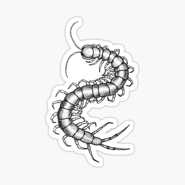 Item preview, Centipede  designed and sold by B-d-t.
