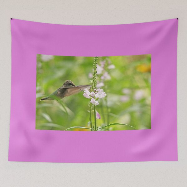 Item preview, Obedient Attraction designed and sold by Debbie Oppermann.