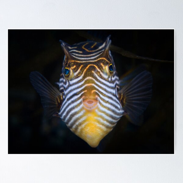 Item preview, Stay still! I want to kiss you.  designed and sold by Stephen Colquitt.