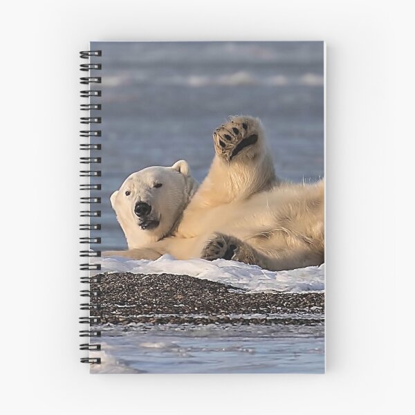 Item preview, STOCK ~ Polar Bear #2 - Just Being Lazy designed and sold by akaurora.