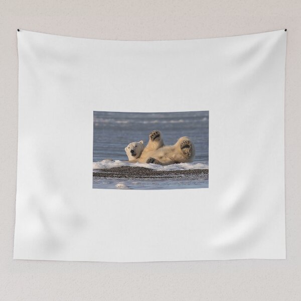 Item preview, STOCK ~ Polar Bear #2 - Just Being Lazy designed and sold by akaurora.