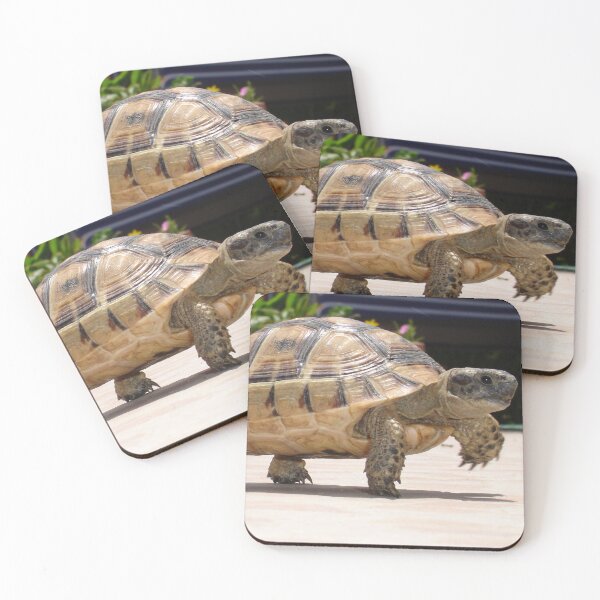 Item preview, Marching Baby Tortoise Close Up Photo designed and sold by taiche.