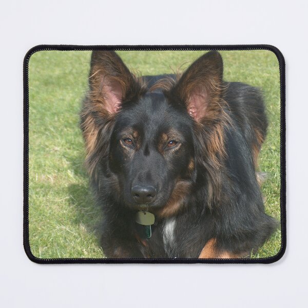 Item preview, Blaze the Dog designed and sold by Nicole Gath.
