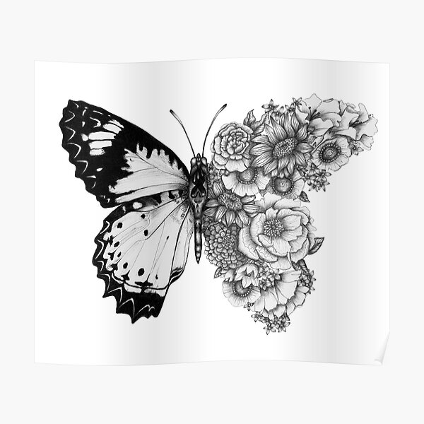 Butterfly in Bloom Poster
