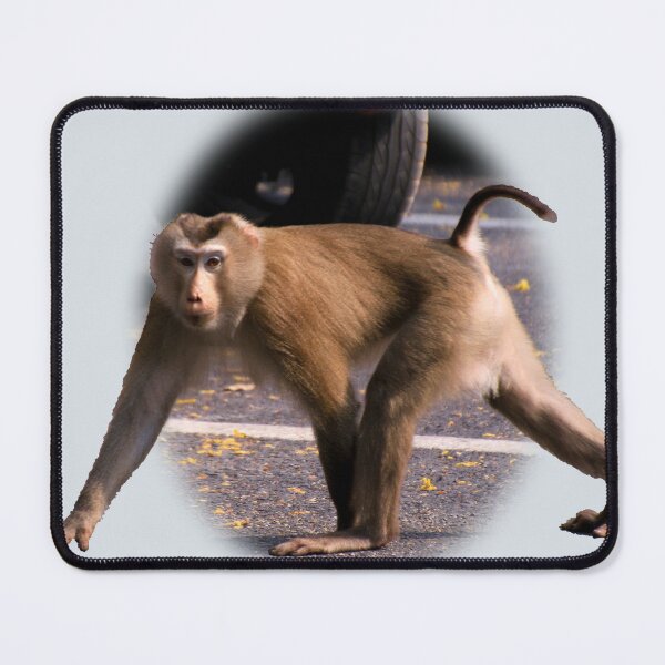 Item preview, Gibbon, Khao Yai national park designed and sold by indiafrankk.