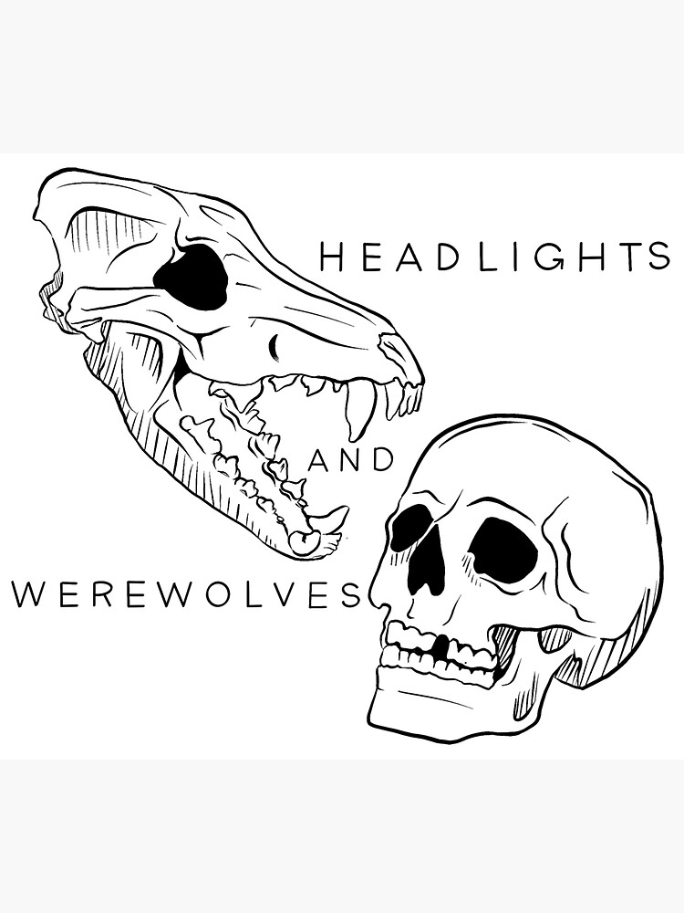 "Bottom McCafferty " Sticker for Sale by Toothspitt Redbubble