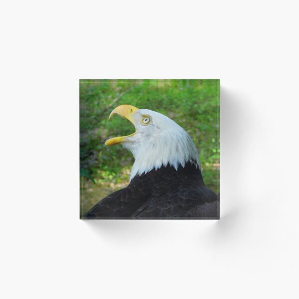 National Call Gifts Merchandise Redbubble - how to be a giant bald eagle in robloxian highschool youtube