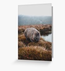 Tasmanian Wombat Greeting Card