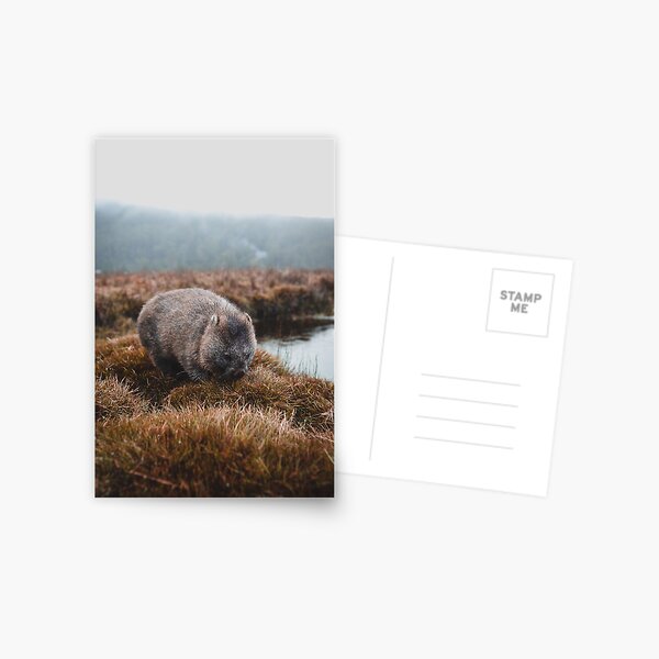 Item preview, Tasmanian Wombat designed and sold by Phil Kitt.