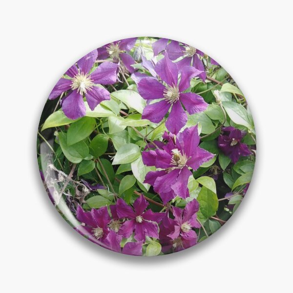 Item preview, This clematis decides for itself where to grow designed and sold by Raigitam.
