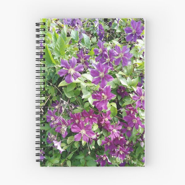 Item preview, This clematis decides for itself where to grow designed and sold by Raigitam.