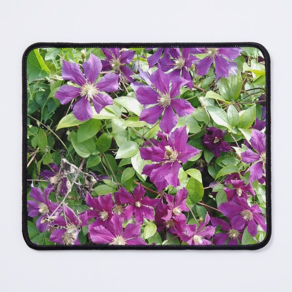 Item preview, This clematis decides for itself where to grow designed and sold by Raigitam.