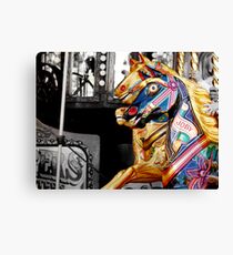 Joby Canvas Print
