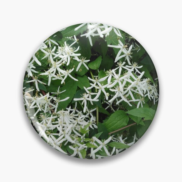 Item preview, This white clematis is as romantic as the starry sky designed and sold by Raigitam.