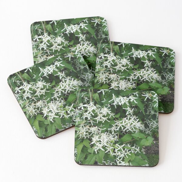 Item preview, This white clematis is as romantic as the starry sky designed and sold by Raigitam.