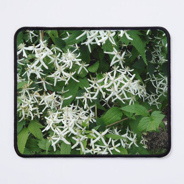 Item preview, This white clematis is as romantic as the starry sky designed and sold by Raigitam.